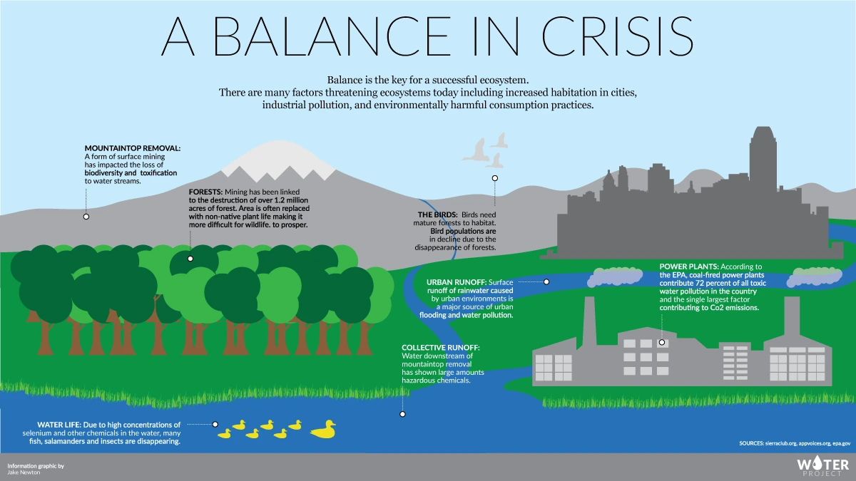 Ecosystem Balance